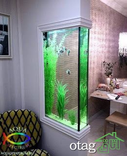 آشنایی با نحوه بکارگیری انواع آکواریوم برای دیزاین منزل
