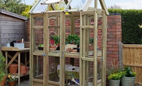 مزایای استفاده از گلخانه خانگی در دکوراسیون داخلی منازل