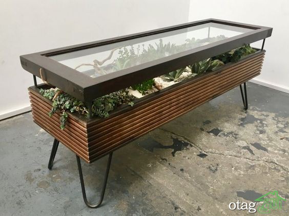 تزیین زیر میز شیشه ای توسط گیاهان مختلف برای دکوراسیون لاکچری خانه
