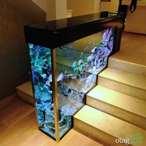 آشنایی با نحوه بکارگیری انواع آکواریوم برای دیزاین منزل