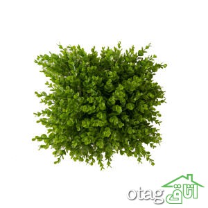 خرید 41 مدل بهترین چمن مصنوعی با کیفیت عالی