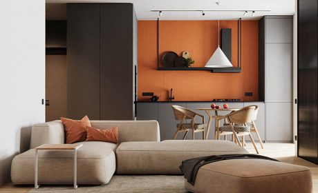 طراحی داخلی خانه 55 متری با چیدمان آبی و نارنجی بهمراه پلان