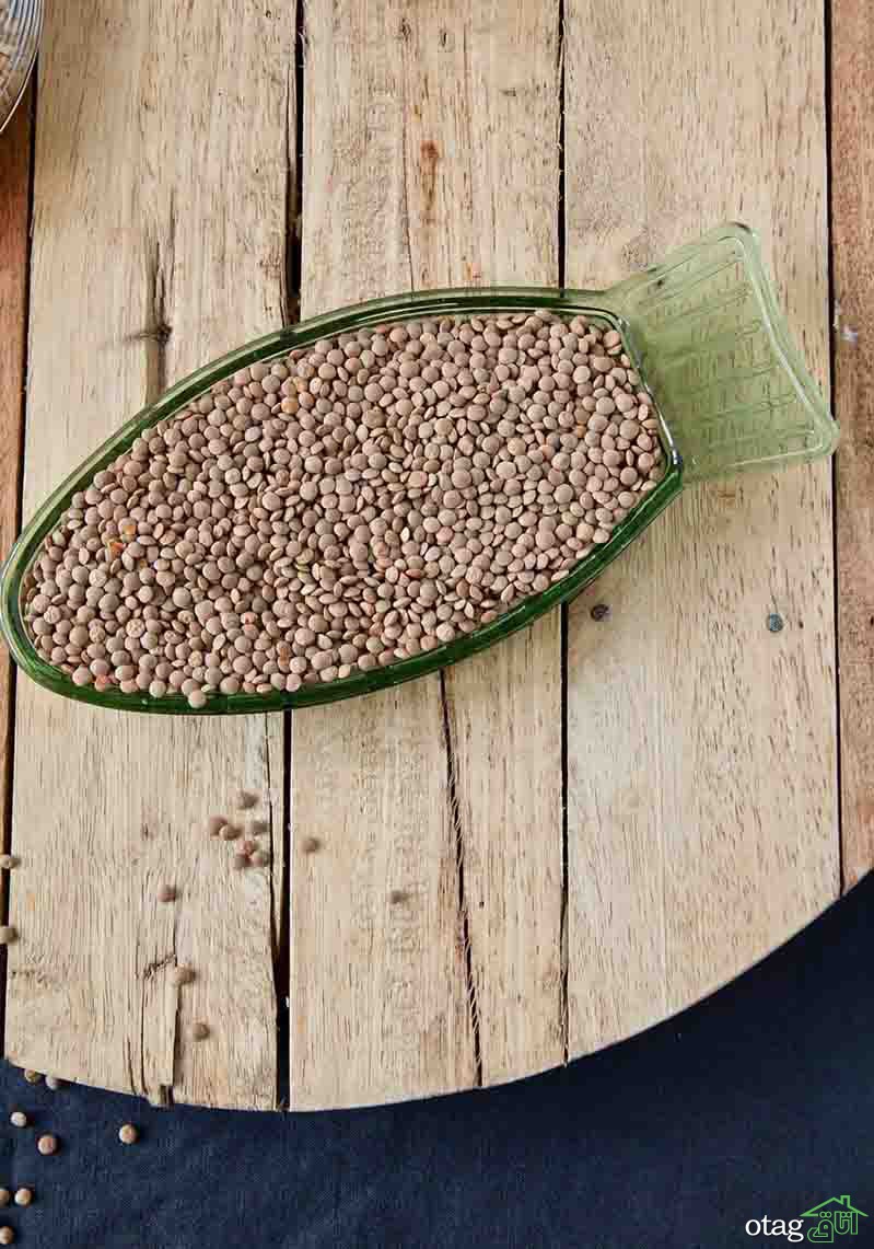 40 مدل عکس سبزه عید نوروز برای سفره هفت سین سال 1400 40 مدل عکس سبزه عید نوروز برای سفره هفت سین سال 1400