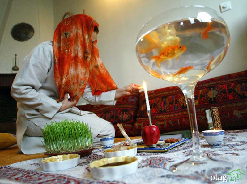 40 مدل عکس سبزه عید نوروز برای سفره هفت سین سال 1400 40 مدل عکس سبزه عید نوروز برای سفره هفت سین سال 1400