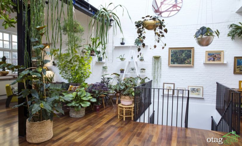ایده هایی برای گل آرایی آپارتمان در جهت زیباسازی دکوراسیون داخلی