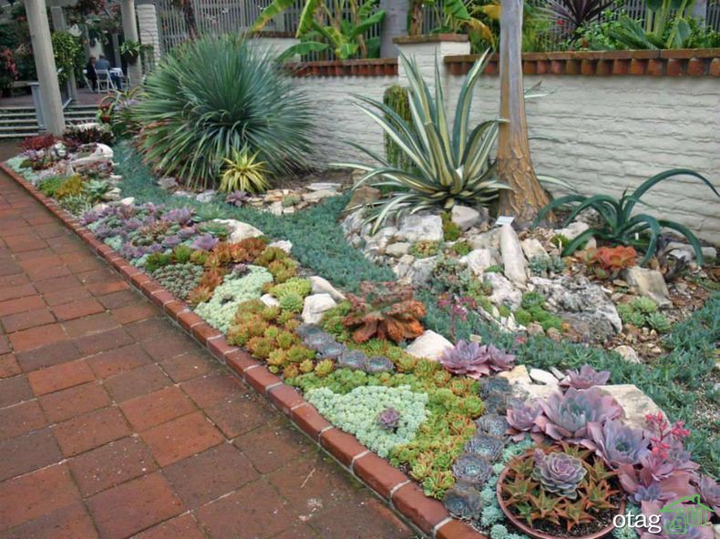ایده‌های جذاب طراحی باغچه کاکتوس با اجرای ساده و خلاقانه