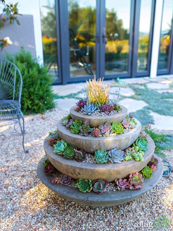 ایده‌های جذاب طراحی باغچه کاکتوس با اجرای ساده و خلاقانه