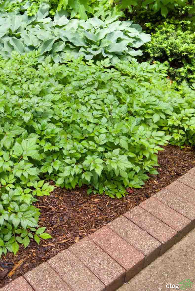 معرفی ایدههای خلاقانه جدول کنار باغچه و نحوه ساخت آنها معرفی ایدههای خلاقانه جدول کنار باغچه و نحوه ساخت آنها