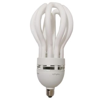 خرید 38 مدل لامپ کم مصرف (پرفروش و باکیفیت) قیمت جدید