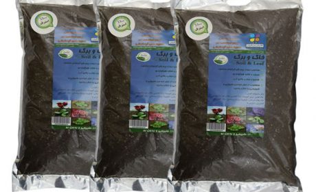 خرید 39 مدل خاک برگ با کیفیت عالی و قیمت مناسب