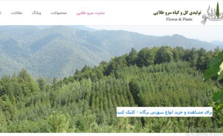 سایت سرو طلایی مجموعه ای از انواع درختان زینتی و سوزنی برگان