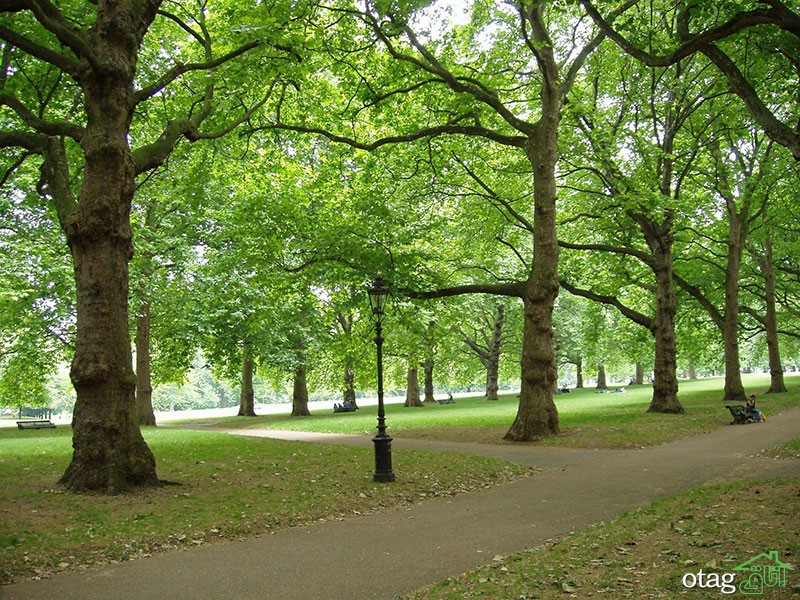 بهترین پارک های لندن