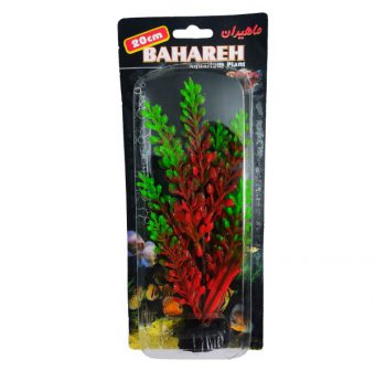 خرید 39 مدل گیاه آکواریوم بسیار زیبا با قیمت مناسب