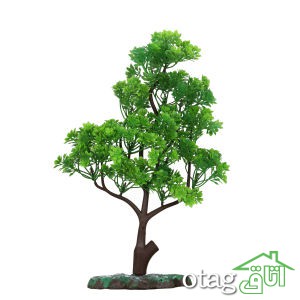 خرید 39 مدل گیاه آکواریوم بسیار زیبا با قیمت مناسب