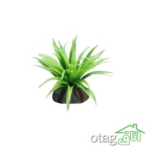 خرید 39 مدل گیاه آکواریوم بسیار زیبا با قیمت مناسب
