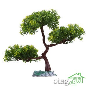 خرید 39 مدل گیاه آکواریوم بسیار زیبا با قیمت مناسب