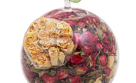 خرید 39 مدل گل خشک بسیار زیبا با قیمت مناسب