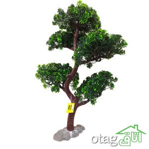 خرید 39 مدل گیاه آکواریوم بسیار زیبا با قیمت مناسب