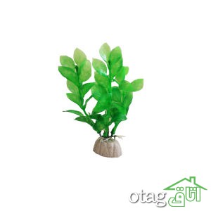 خرید 39 مدل گیاه آکواریوم بسیار زیبا با قیمت مناسب