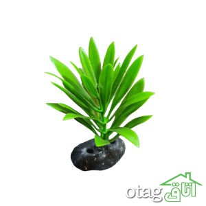خرید 39 مدل گیاه آکواریوم بسیار زیبا با قیمت مناسب