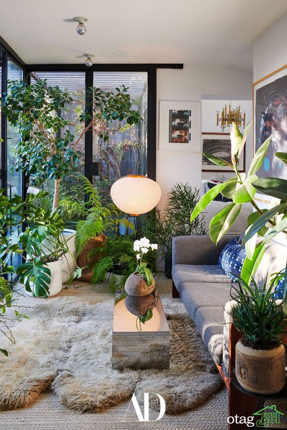 با آتریوم (Atrium) خانه ای جهان نما داشته باشید!