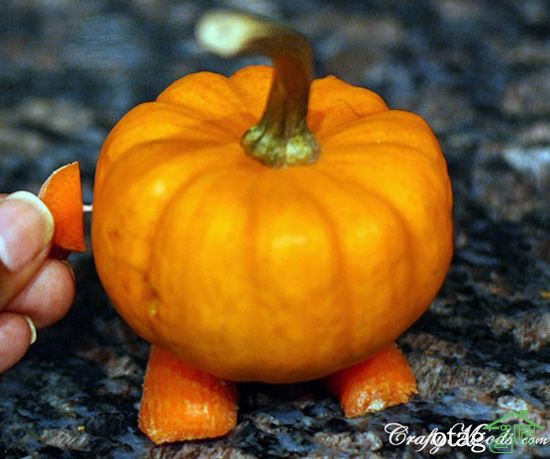 3 مدل عکس کدو تنبل هالووین جالب و خلاقانه به همراه روش ساخت