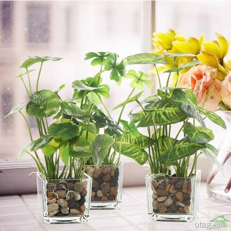خرید 39 مدل بهترین گلدان شیشه ای جدید و شیک خرید 39 مدل بهترین گلدان شیشه ای جدید و شیک