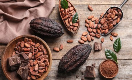 بررسی تاریخچه معروف ترین برند های شکلات و قهوه در دنیا