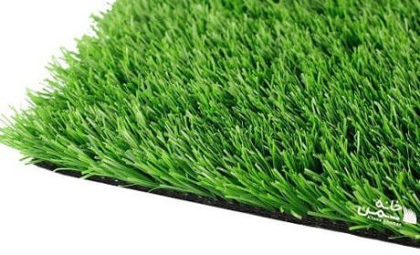  6 دلیل برای اینکه چمن مصنوعی برای محیط زیست بهتر است