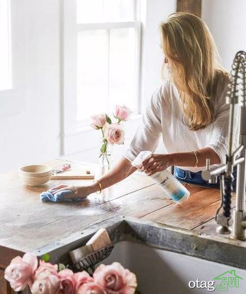 چگونه نظافت و بهداشت را در خانه حفظ کنیم؟ چگونه نظافت و بهداشت را در خانه حفظ کنیم؟