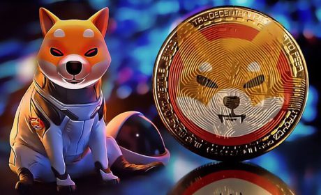 ارز دیجیتال شیبا (SHIB) چیست؟ آنچه باید در مورد ارز SHIB بدانید