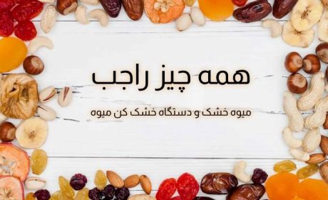 دستگاه خشک کن میوه و میوه خشک چیست؟