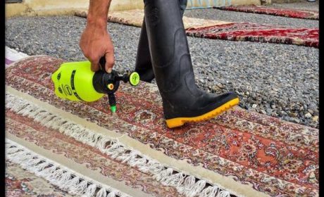 نظافت منزل و شستشوی فرش در محل