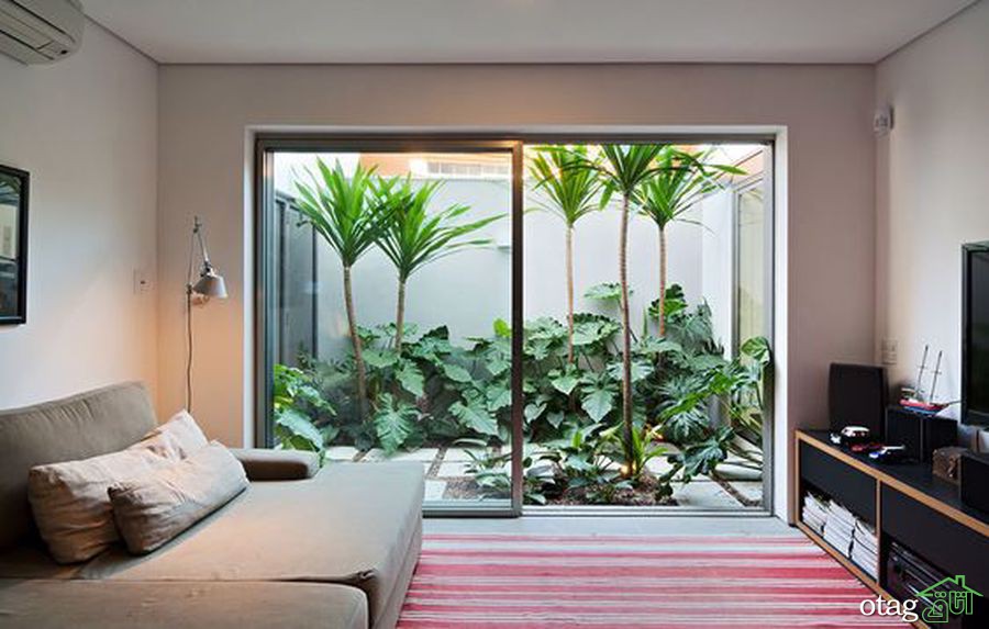ایجاد فضای سبز در خانه بدون باغ امکان پذیر است