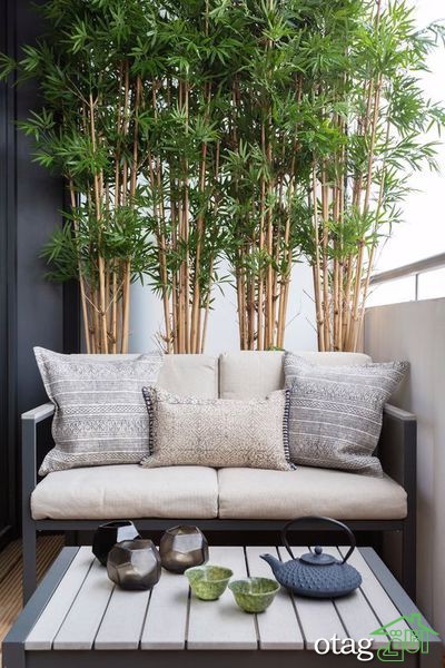 گیاهان تزئینی مناسب برای اتاق نشیمن با مراقبت آسان