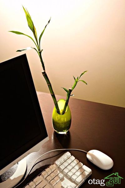 اصول اولیه دکوراسیون با فنگ شویی برای زندگی شادتر اصول اولیه دکوراسیون با فنگ شویی برای زندگی شادتر