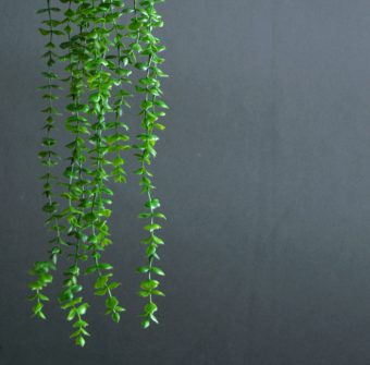 استفاده از گل مصنوعی برای تزیین خانه + 24 مدل شیک و ارزان