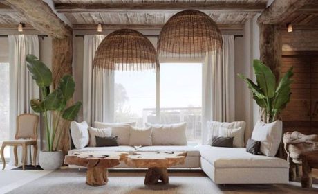 گیاهان تزئینی مناسب برای اتاق نشیمن با مراقبت آسان