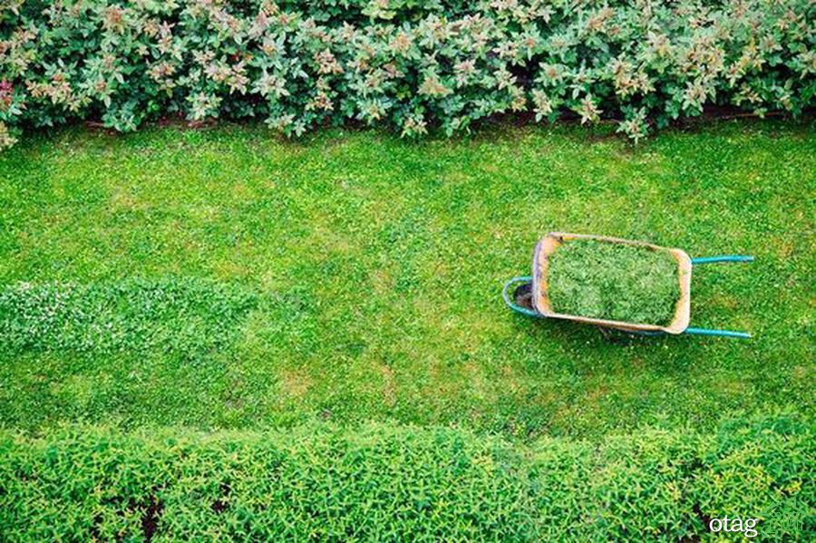 تکنیک های صحیح چمن زنی برای داشتن یک باغ مرتب تکنیک های صحیح چمن زنی برای داشتن یک باغ مرتب
