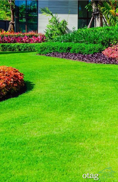 تکنیک های صحیح چمن زنی برای داشتن یک باغ مرتب تکنیک های صحیح چمن زنی برای داشتن یک باغ مرتب