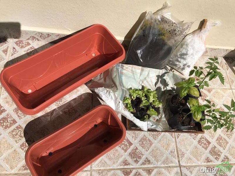 چگونه یک باغ سبزیجات ارگانیک در خانه بسازیم؟ چگونه یک باغ سبزیجات ارگانیک در خانه بسازیم؟