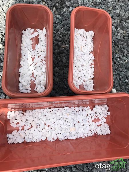 چگونه یک باغ سبزیجات ارگانیک در خانه بسازیم؟ چگونه یک باغ سبزیجات ارگانیک در خانه بسازیم؟