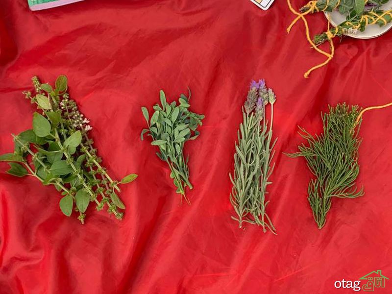 دستور تهیه عود طبیعی در چند مرحله ساده دستور تهیه عود طبیعی در چند مرحله ساده