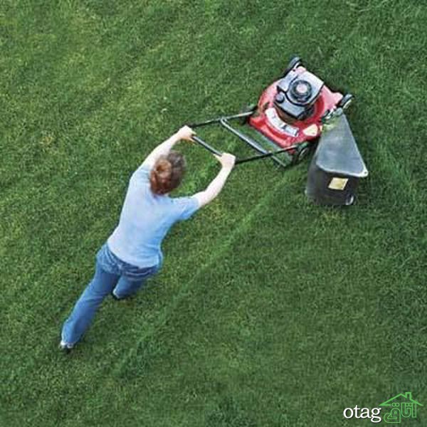 تکنیک های صحیح چمن زنی برای داشتن یک باغ مرتب تکنیک های صحیح چمن زنی برای داشتن یک باغ مرتب