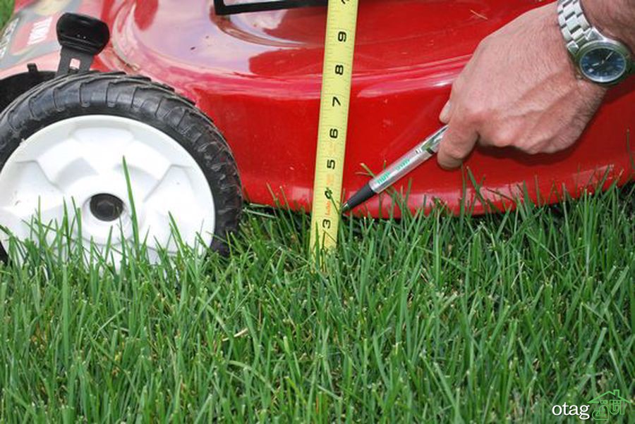 تکنیک های صحیح چمن زنی برای داشتن یک باغ مرتب تکنیک های صحیح چمن زنی برای داشتن یک باغ مرتب