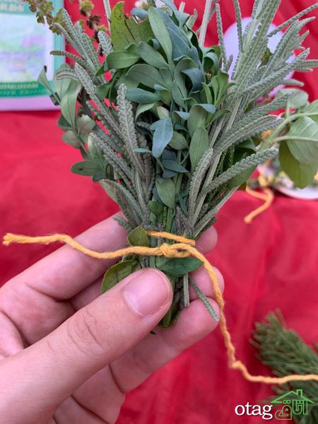 دستور تهیه عود طبیعی در چند مرحله ساده دستور تهیه عود طبیعی در چند مرحله ساده