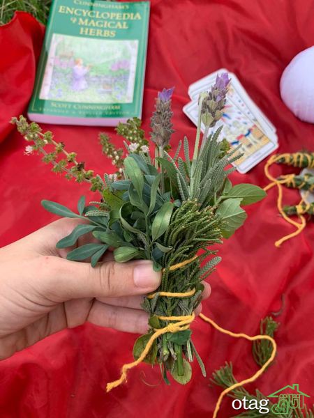 دستور تهیه عود طبیعی در چند مرحله ساده دستور تهیه عود طبیعی در چند مرحله ساده