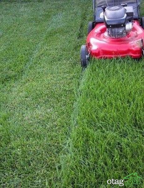 تکنیک های صحیح چمن زنی برای داشتن یک باغ مرتب تکنیک های صحیح چمن زنی برای داشتن یک باغ مرتب