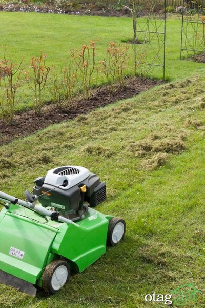 تکنیک های صحیح چمن زنی برای داشتن یک باغ مرتب تکنیک های صحیح چمن زنی برای داشتن یک باغ مرتب