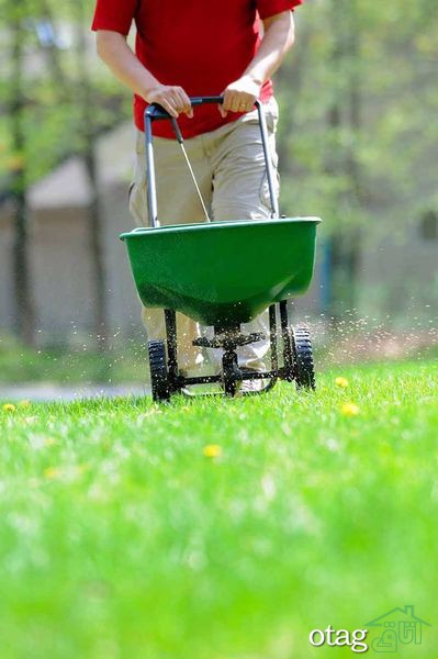 تکنیک های صحیح چمن زنی برای داشتن یک باغ مرتب تکنیک های صحیح چمن زنی برای داشتن یک باغ مرتب